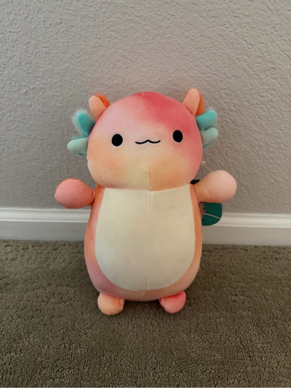 Aksel HugMees Squishmallow